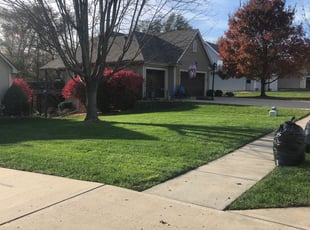 Leaf Removal by Brandon ABRAM for Diana L. in Kansas City, MO