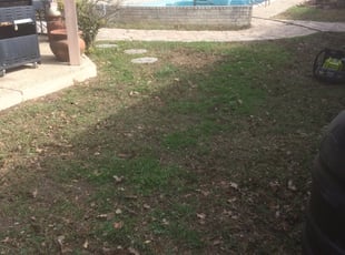 Cleanups by Chaes Pate for Sonya G. in San Antonio, TX