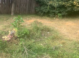 Cleanups by Edgar Hernandez for Andrew M. in Columbus, OH