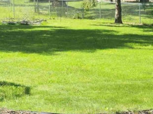 Thomas X.'s Lawn Service service result