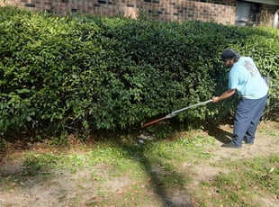 Bush Trimming by Timothy Goodin for Ashley W. in Pensacola, FL