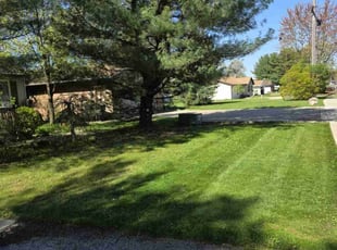 Joe P.'s Lawn Care service result