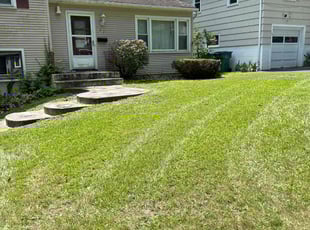 Mindy F.'s Lawn Care service result