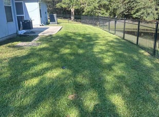 Donna D.'s Lawn Care service result