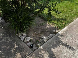 Weeding by Jose Gil for Nick A. in Fresno, TX