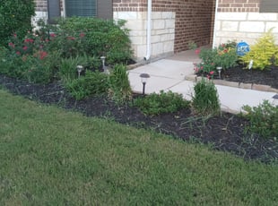 Bush Trimming by Walter Rodriguez for Leonard D. in Richmond, TX