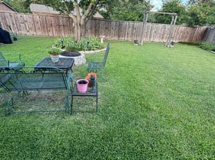 Michael H.'s Yard Cutting service result