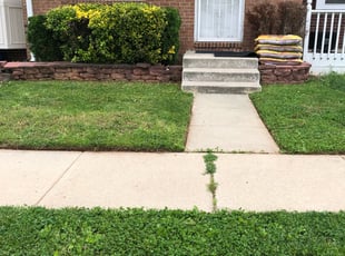 Bush Trimming by Brian Pires for Richard Dean P. in Woodbridge, VA