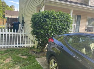 Bush Trimming by Dominique Brame for Latosha H. in Charlotte, NC