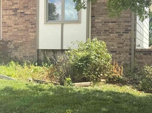Bush Trimming by Grant Deboer for Virginia L. in Bel Aire, KS
