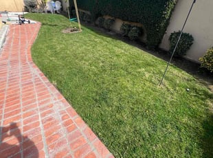 Malika D.'s Lawn Service service result