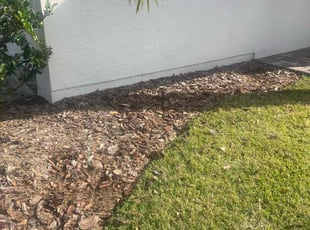 Weeding by Alphonso Sharp for Aida H. in Odessa, FL