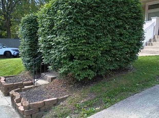 Bush Trimming by Caleb Patton for Pat M. in Cincinnati, OH