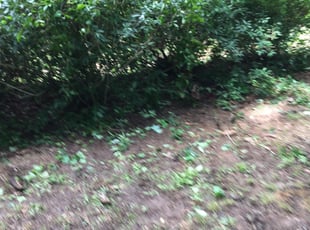 Cleanups by Ryan Cannon for Kimberly C. in Conyers, GA