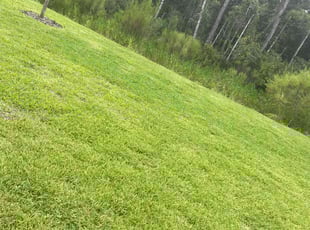 John C.'s Lawn Care service result