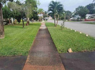 Michael B.'s Yard Cutting service result