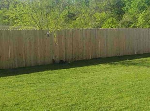 Niecy B.'s Lawn Service service result