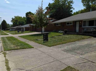 Irene S.'s Grass Cutting service result