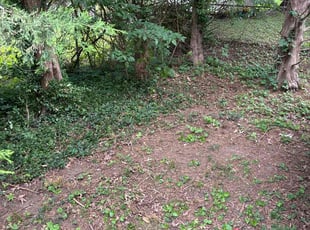 Cleanups by Tim Kirkpatrick for Bonnie G. in Blue Springs, MO