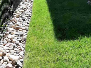Weeding by Angela Shinaut for Jack C. in Denver, CO