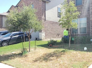 Bush Trimming by Ricardo Serrano for Kristi D. in San Antonio, TX