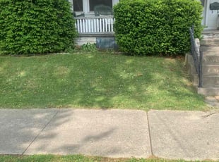 Cecily C.'s Lawn Mowing service result