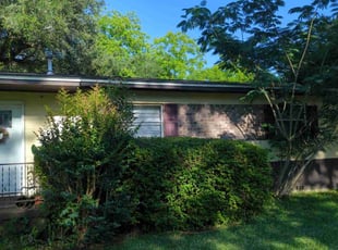 Bush Trimming by Jon Owens for michael h. in Quincy, FL