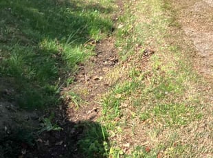 Leaf Removal by Daniel Shannon for Kamil M. in Fredericksburg, VA