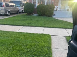 Bob D.'s Lawn Maintenance service result