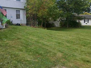 Mallory B.'s Lawn Mowing service result