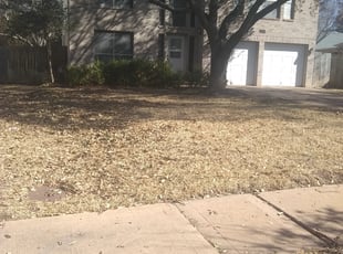 Cleanups by Brent Tanksley for Don P. in Round Rock, TX