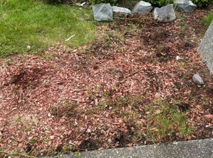 Weeding by Kenneth Goodwin for Henry J. in Puyallup, WA