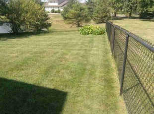 Stephen M.'s Lawn Mowing Service service result