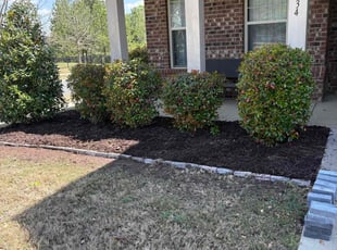 Mulching by Erica Smedley for Amy A. in Charlotte, NC