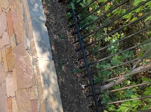 Leaf Removal by Jared Wilkins for Ronna P. in Castle Rock, CO