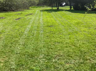 Cleanups by Kenneth Mccarthy for Michael C. in Middletown, CT