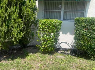 Bush Trimming by Charles Walton for Julia L. in Lake Worth, FL