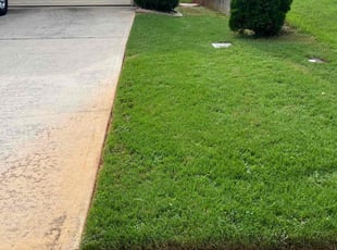 Mya D.'s Lawn Mowing Service service result