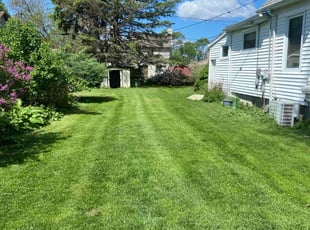 Terence S.'s Grass Cutting service result