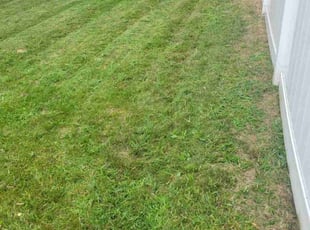 Robert A.'s Yard Cutting service result