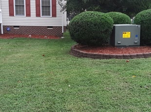 Weeding by Earth Thomas for Niccole W. in Richmond, VA