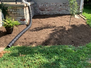 Weeding by David Kelly for joey M. in Lexington, KY