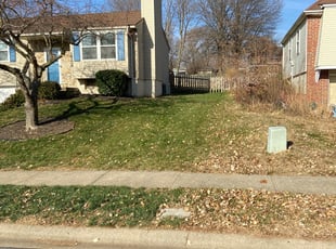 Leaf Removal by Brett Dechant for Josh C. in Olathe, KS