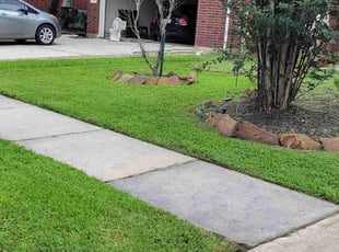 Miguel M.'s Lawn Mowing service result