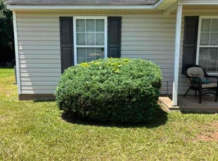 Bush Trimming by Quentin Castillo for Precious R. in Piedmont, SC