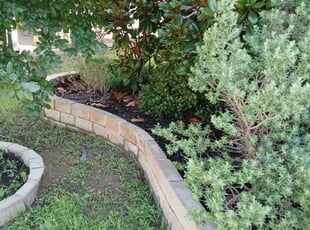 Weeding by Keaton Hougen for Steven S. in Dallas, TX