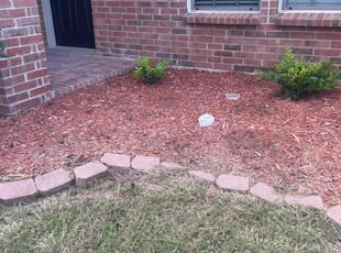 Weeding by Sebastian Holladay for Taylor T. in Royse City, TX