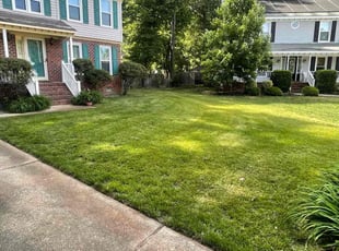 Risa E.'s Lawn Mowing service result