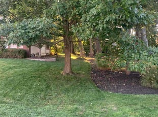 Baye M.'s Yard Cutting service result