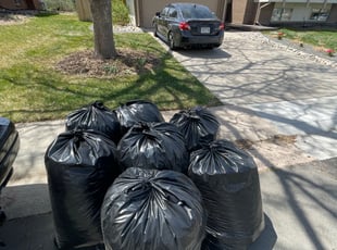Leaf Removal by Fernando Leyva for Daniel F. in Centennial, CO